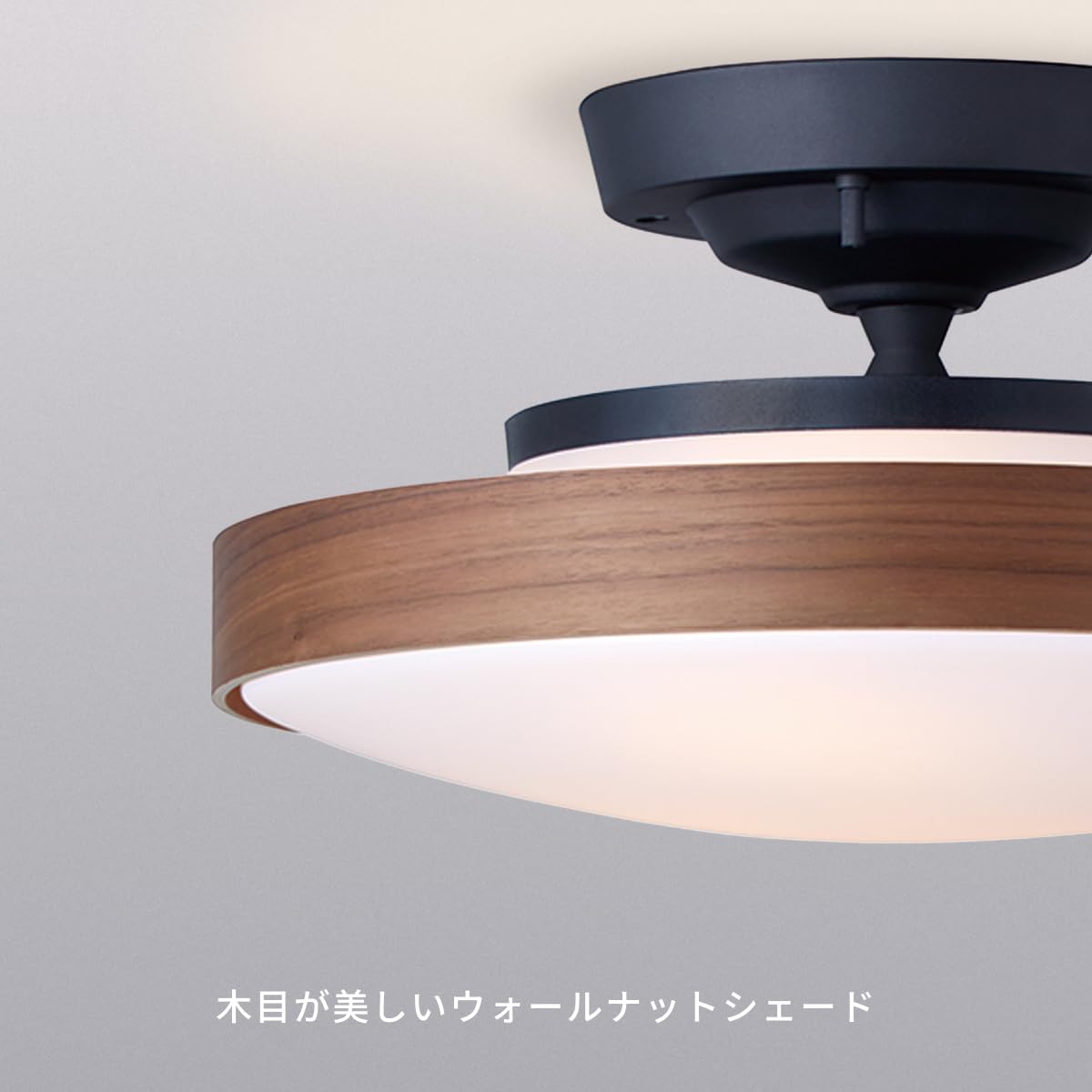 Amazon.co.jp: アートワークスタジオ グラフプライウッドシェード 照明